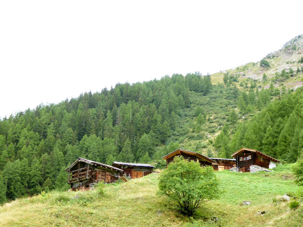 {Clic pour voir plus grand}