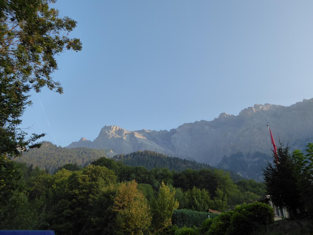 {Clic pour voir plus grand}