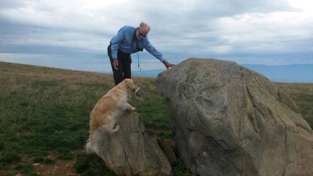 {Clic pour voir plus grand}