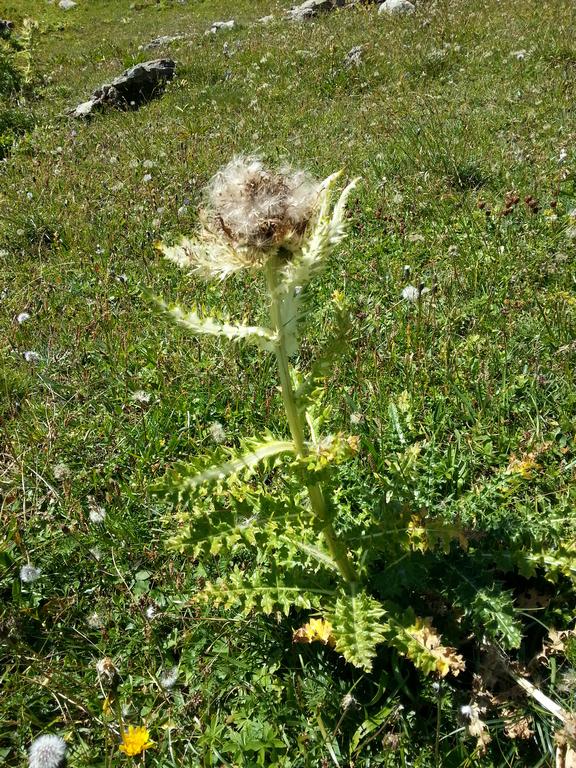 {Clic pour voir plus grand}