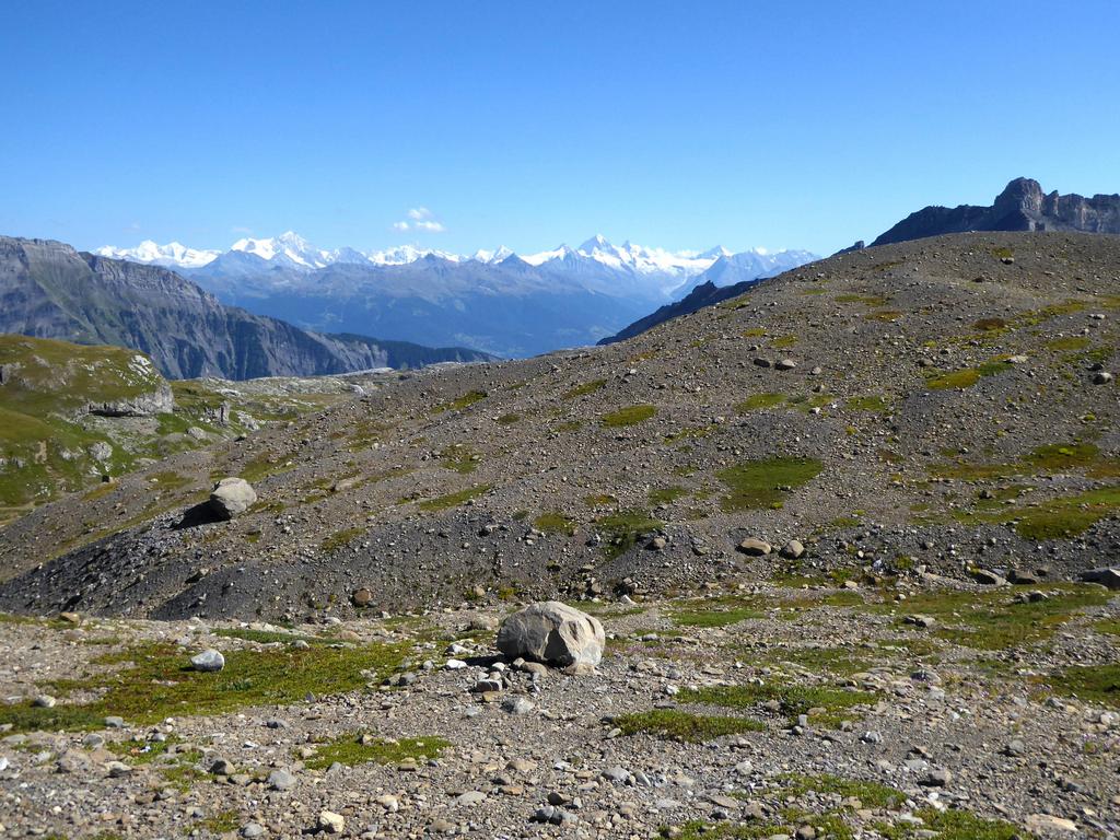 {Clic pour voir plus grand}