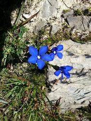 Click to see big picture (576x768 pixels; 153 KB)