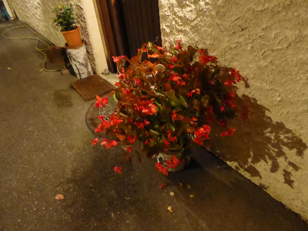 {Clic pour voir plus grand}