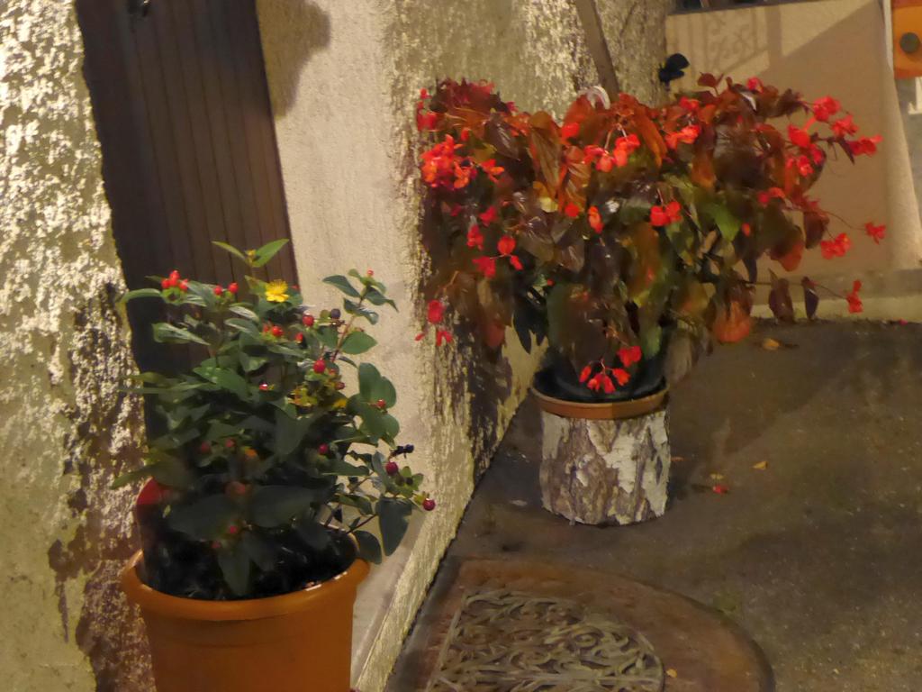 {Clic pour voir plus grand}