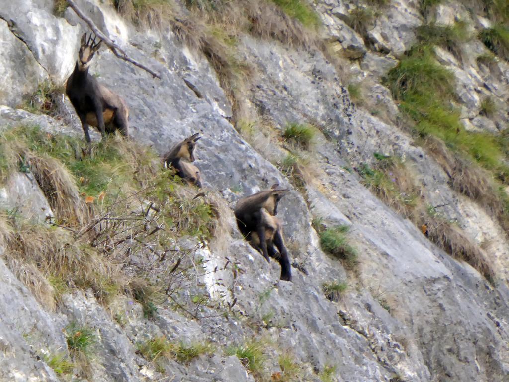 {Clic pour voir plus grand}