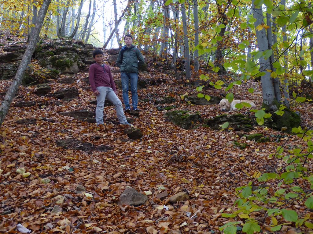 {Clic pour voir plus grand}