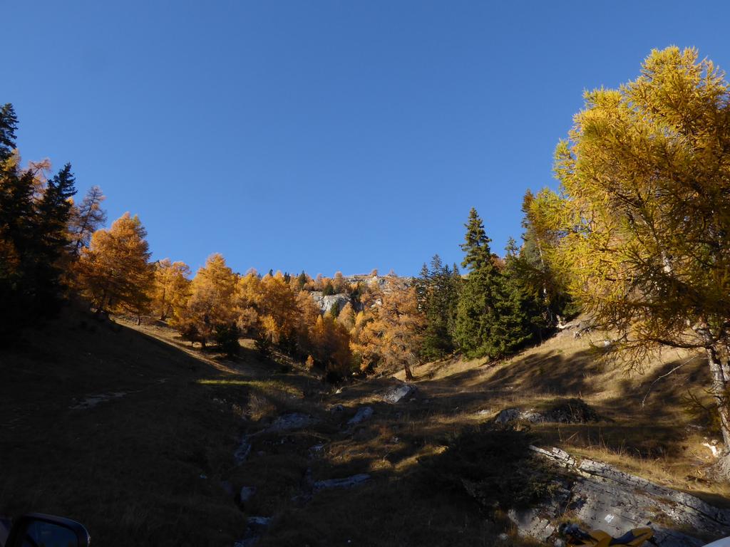 {Clic pour voir plus grand}