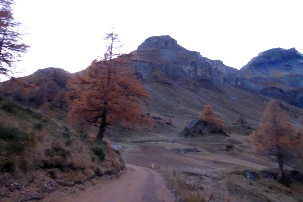 {Clic pour voir plus grand}