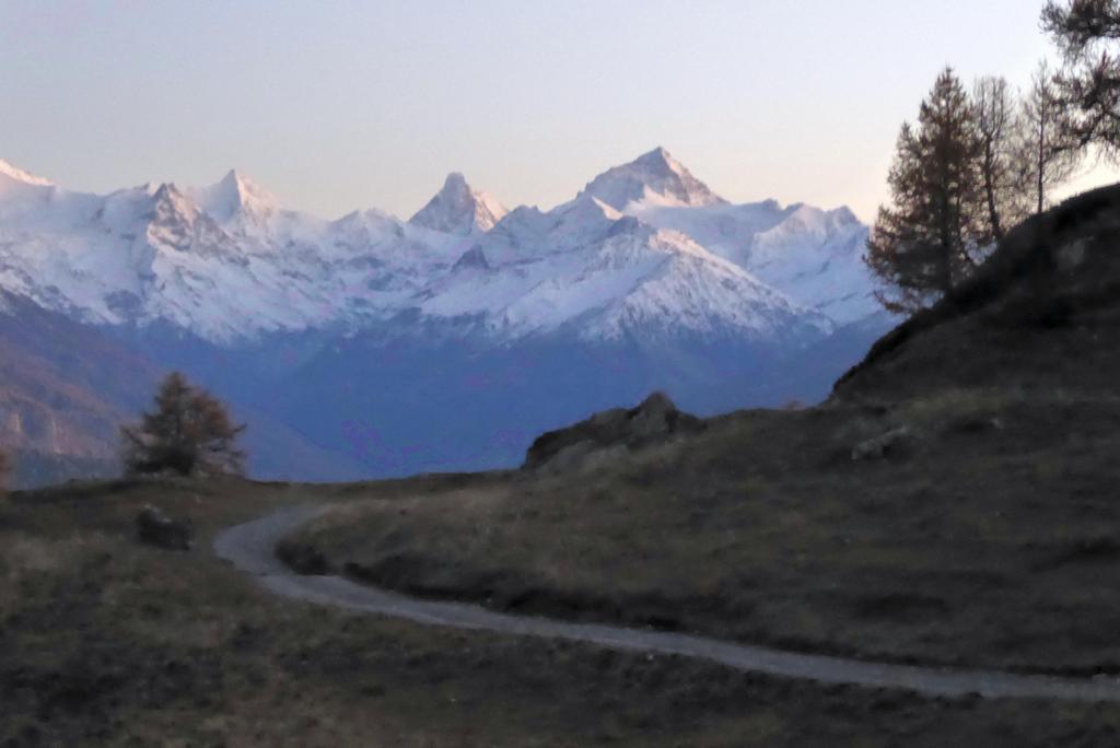 {Clic pour voir plus grand}