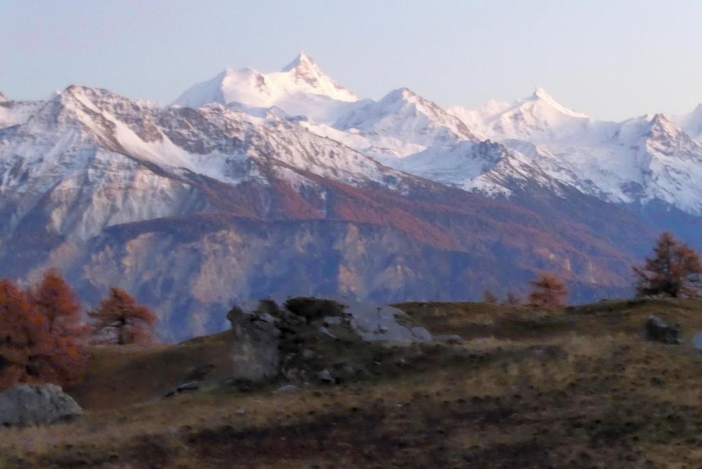 {Clic pour voir plus grand}