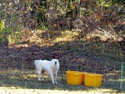 Click to see big picture (1024x768 pixels; 200 KB)