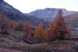 Click to see big picture (1024x684 pixels; 61 KB)