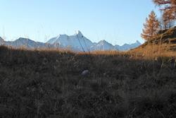 Click to see big picture (1024x684 pixels; 93 KB)