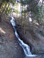 Click to see big picture (586x768 pixels; 126 KB)