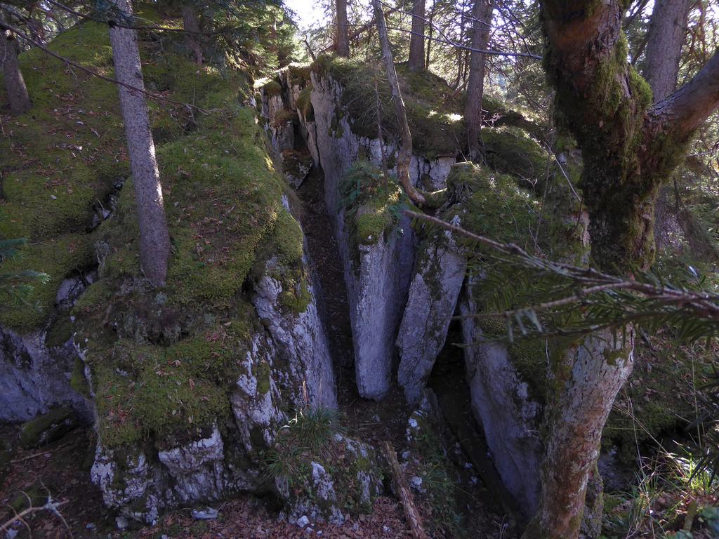 {Clic pour voir plus grand}