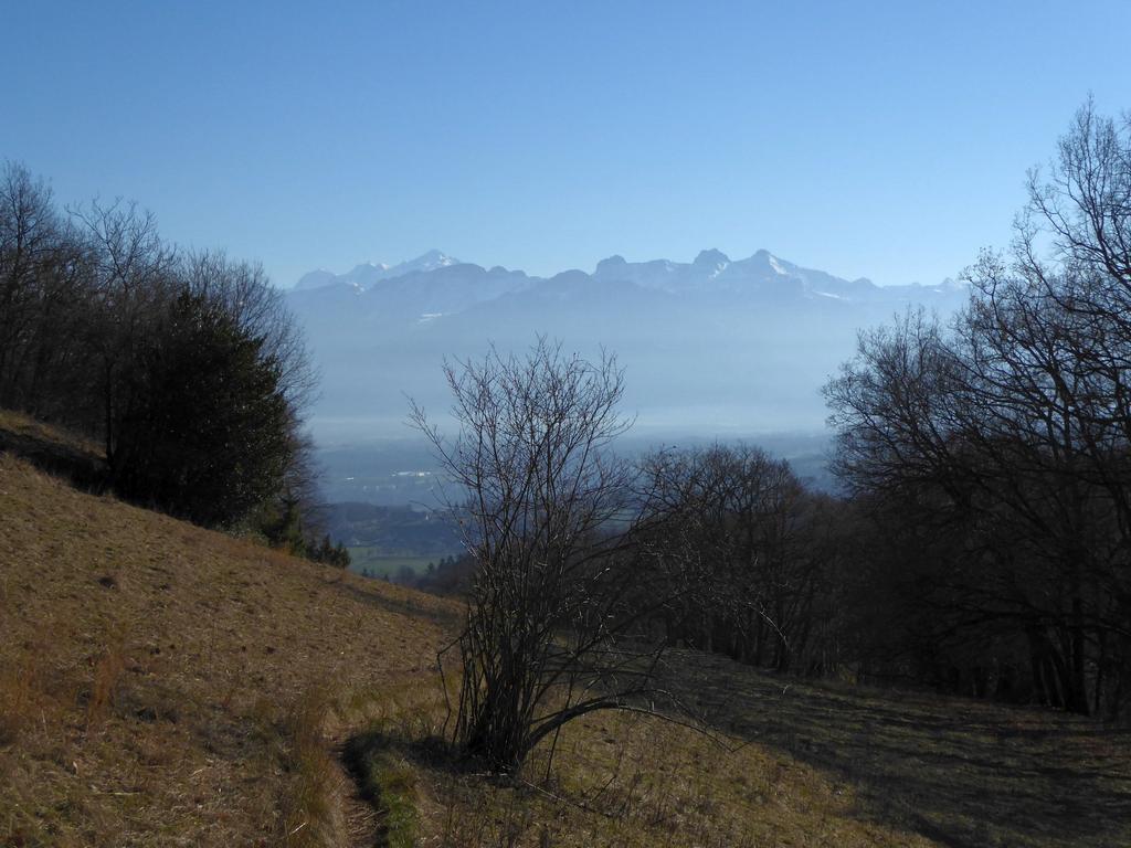 {Clic pour voir plus grand}