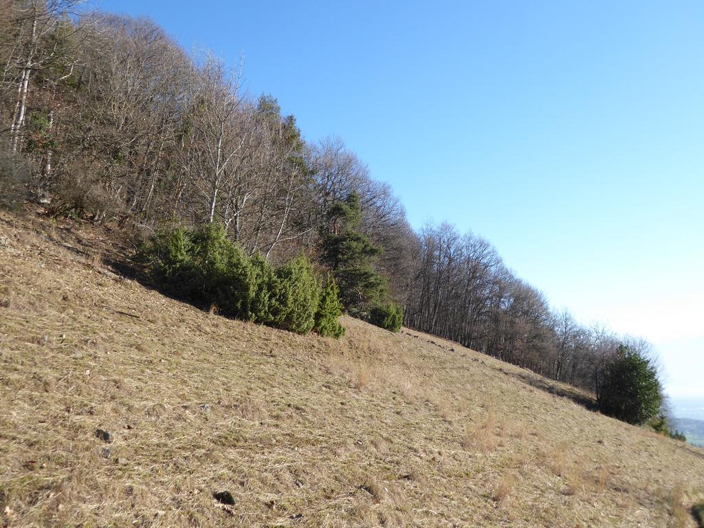 {Clic pour voir plus grand}