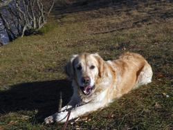 Click to see big picture (1024x768 pixels; 182 KB)