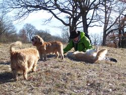 Click to see big picture (1024x768 pixels; 259 KB)