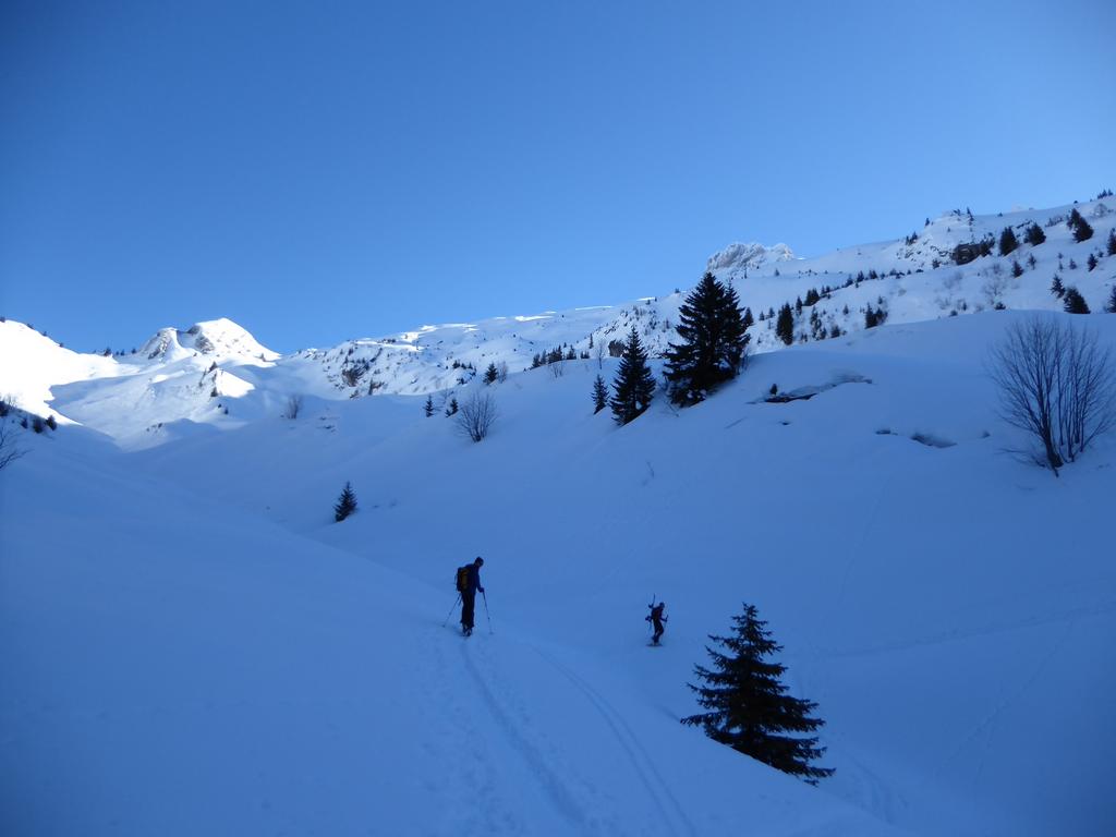 {Clic pour voir plus grand}