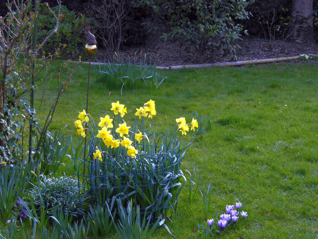 {Clic pour voir plus grand}