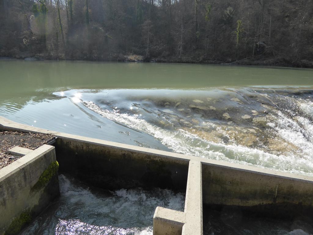 {Clic pour voir plus grand}