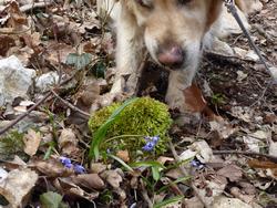 Click to see big picture (1024x768 pixels; 192 KB)