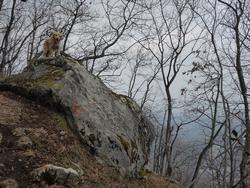 Click to see big picture (1024x768 pixels; 236 KB)