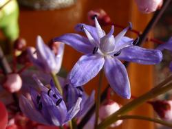 Click to see big picture (1024x768 pixels; 72 KB)