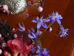 Click to see big picture (1024x768 pixels; 81 KB)