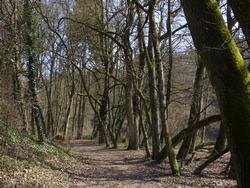 Click to see big picture (1024x768 pixels; 257 KB)