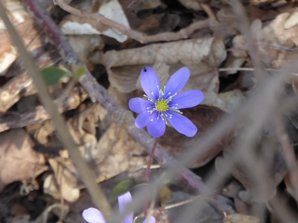 {Clic pour voir plus grand}