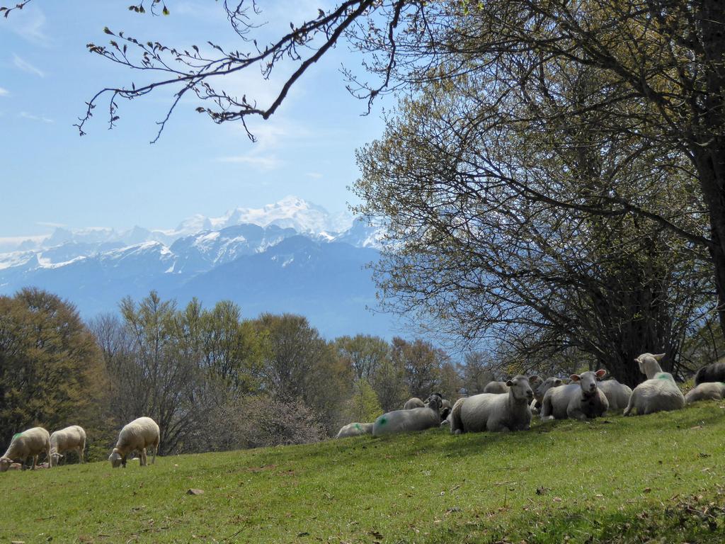 {Clic pour voir plus grand}