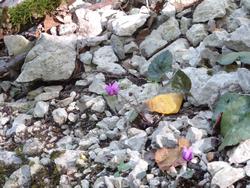 Click to see big picture (1024x768 pixels; 163 KB)