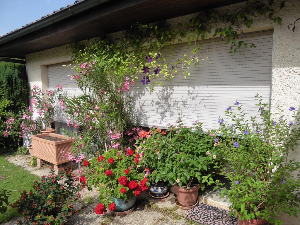 {Clic pour voir plus grand}