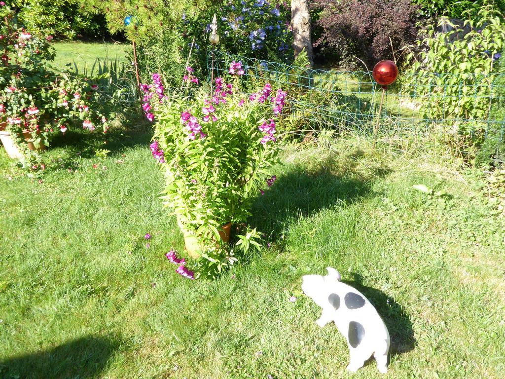 {Clic pour voir plus grand}