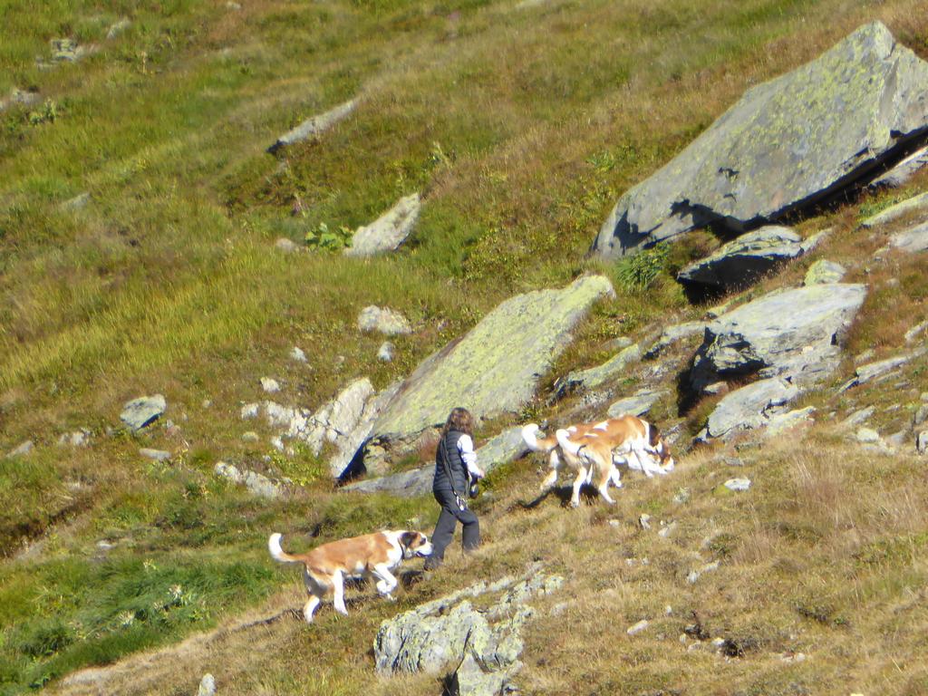 {Clic pour voir plus grand}