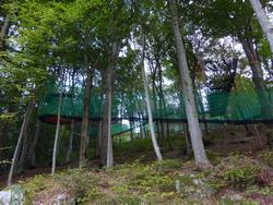 Click to see big picture (1024x768 pixels; 211 KB)