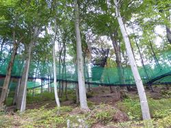 Click to see big picture (1024x768 pixels; 237 KB)