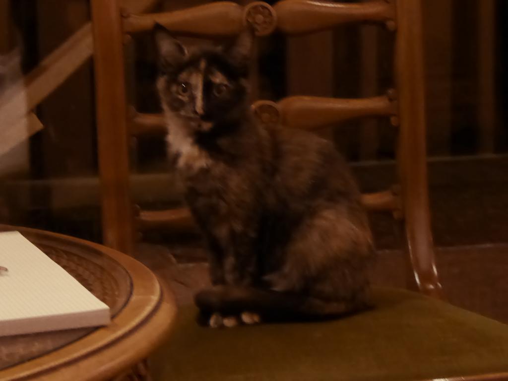 {Clic pour voir plus grand}