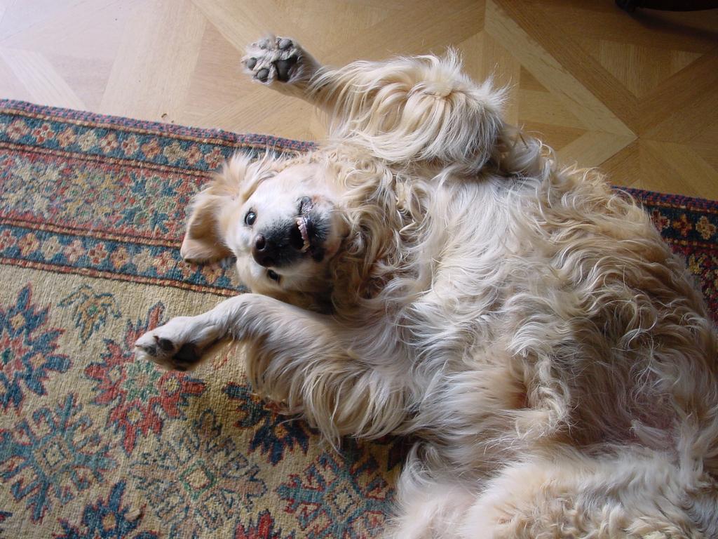 clic ici pour suivante