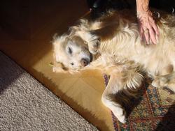 Clic pour agrandir l'image (1024x768 pixels; 144 KB)