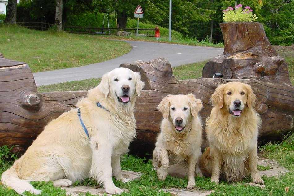 clic ici pour suivante