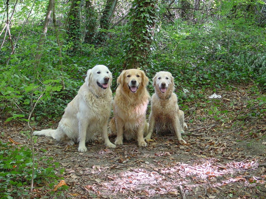 clic ici pour suivante