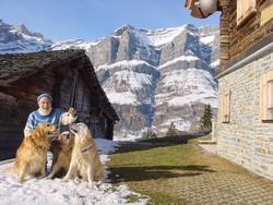 Clic pour agrandir l'image (1024x768 pixels; 169 KB)