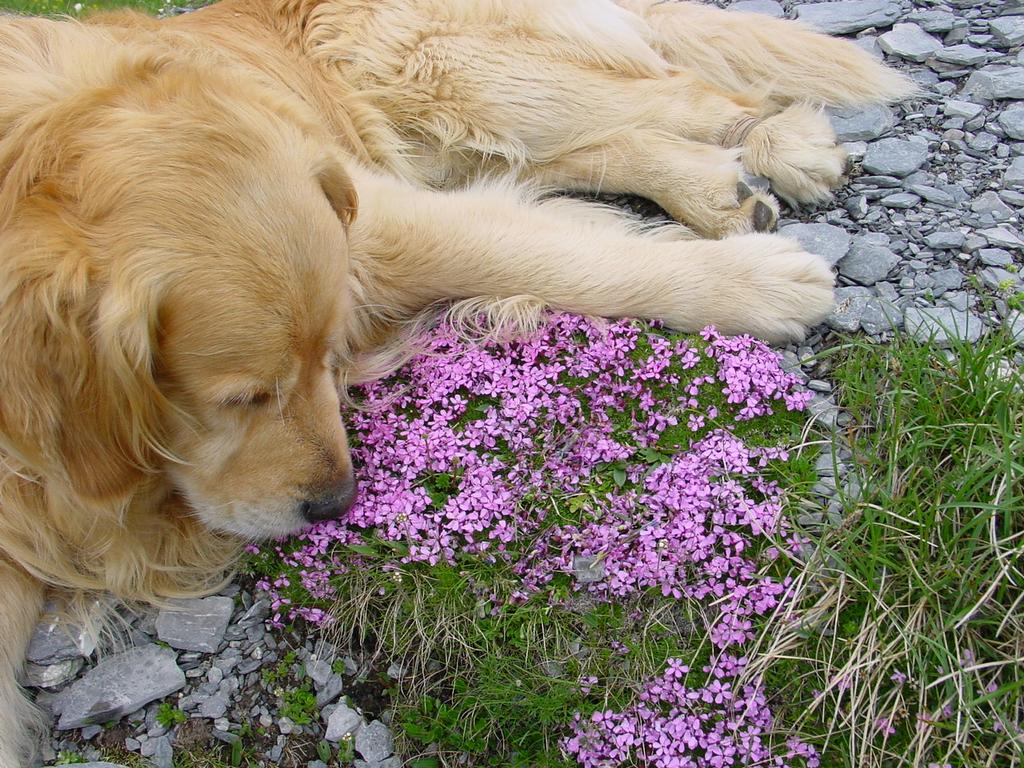 clic ici pour suivante