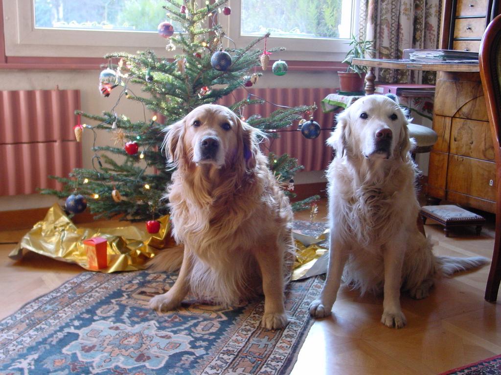 clic ici pour suivante