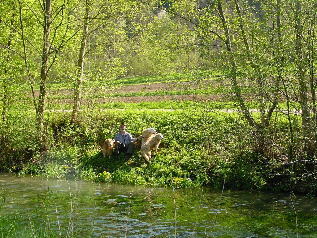 {Clic pour voir plus grand}