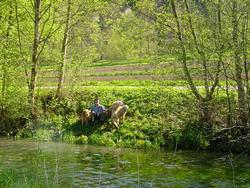 Click to see big picture (1024x768 pixels; 282 KB)