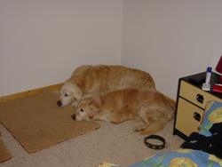 Clic pour agrandir l'image (1024x768 pixels; 67 KB)